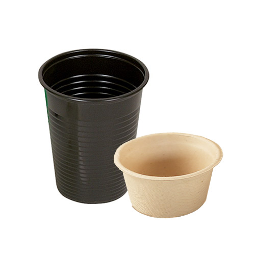 Becher